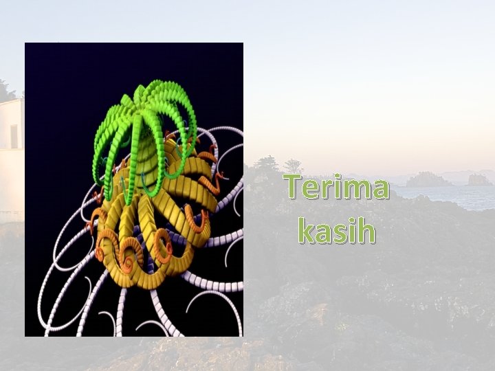 Terima kasih 