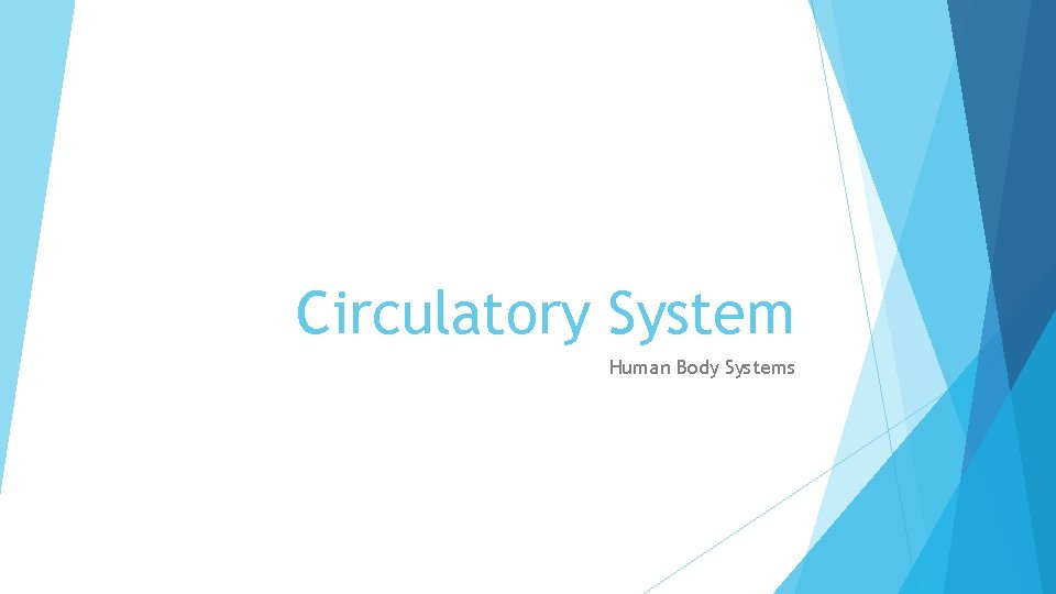 Circulatory System Human Body Systems 