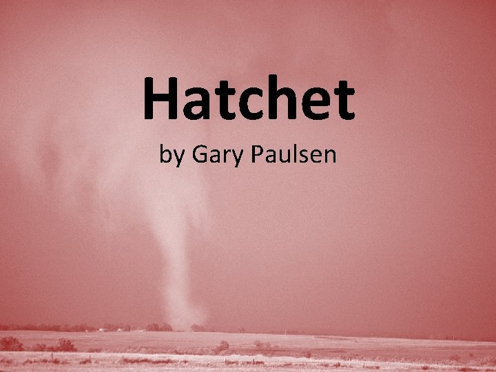 Hatchet by Gary Paulsen 