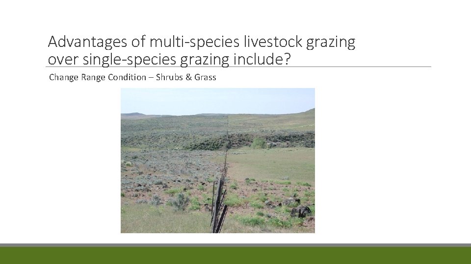 Advantages of multi-species livestock grazing over single-species grazing include? Change Range Condition – Shrubs