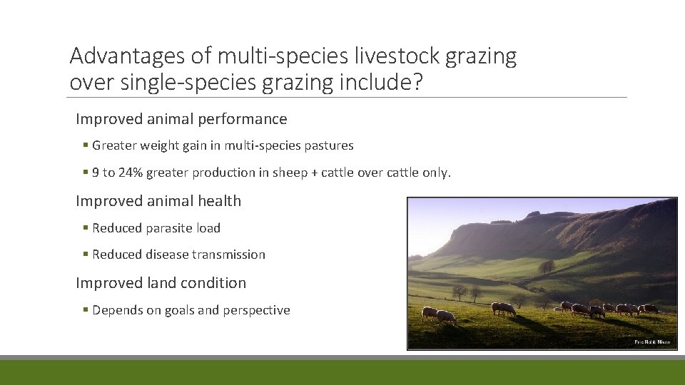 Advantages of multi-species livestock grazing over single-species grazing include? Improved animal performance § Greater