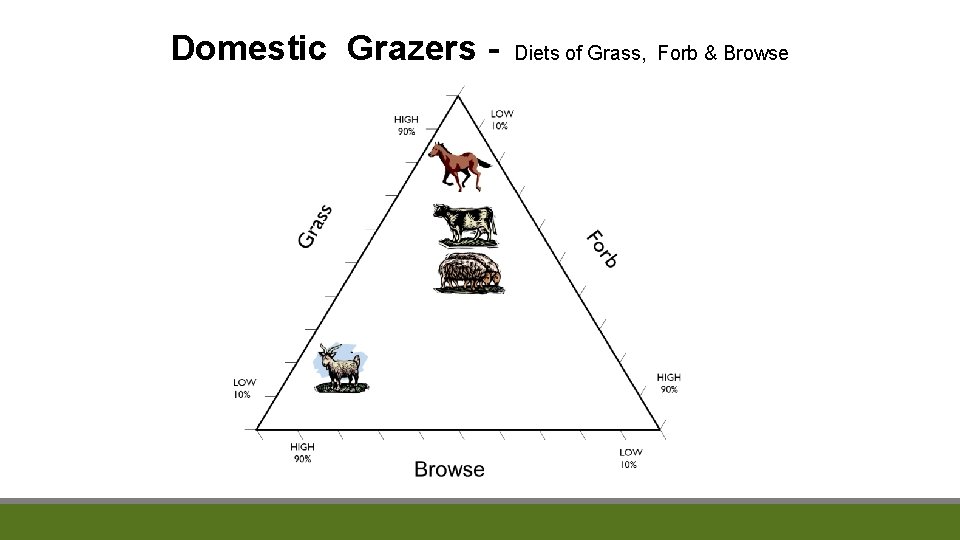 Domestic Grazers - Diets of Grass, Forb & Browse 