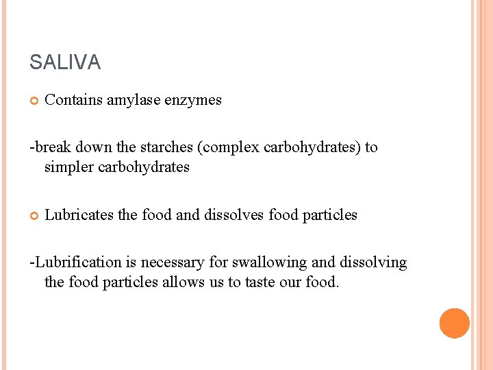 SALIVA Contains amylase enzymes -break down the starches (complex carbohydrates) to simpler carbohydrates Lubricates