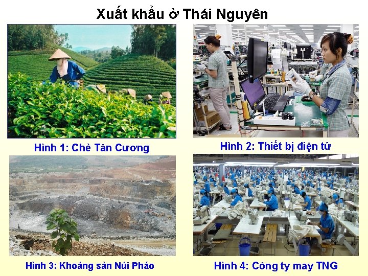 Xuất khẩu ở Thái Nguyên Hình 1: Chè Tân Cương Hình 2: Thiết bị