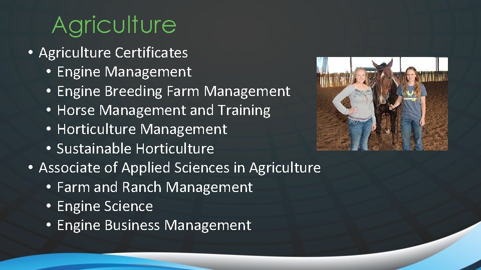 Agriculture • Agriculture Certificates • Engine Management • Engine Breeding Farm Management • Horse