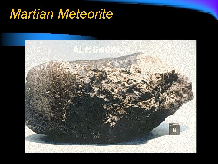 Martian Meteorite 