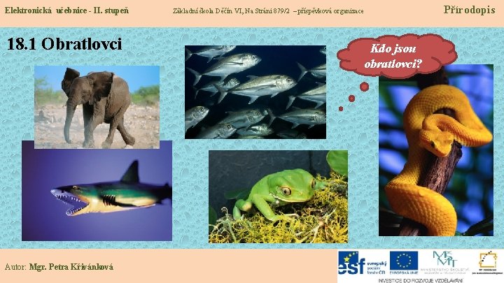 Elektronická učebnice - II. stupeň 18. 1 Obratlovci Autor: Mgr. Petra Křivánková Základní škola