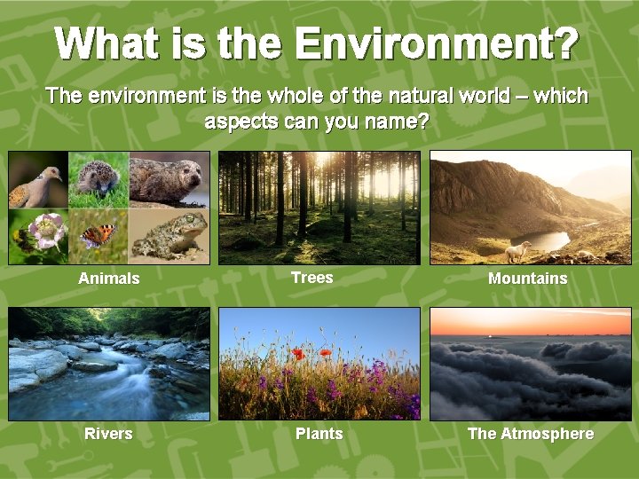 What is the Environment? The environment is the whole of the natural world –