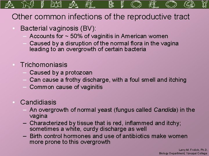 Other common infections of the reproductive tract • Bacterial vaginosis (BV): – Accounts for