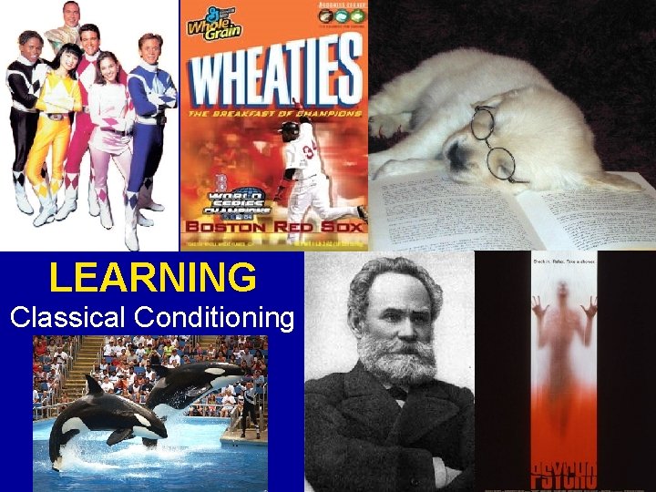 LEARNING Classical Conditioning 