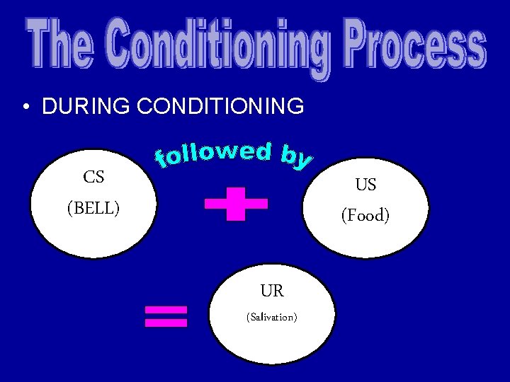  • DURING CONDITIONING CS (BELL) US (Food) UR (Salivation) 