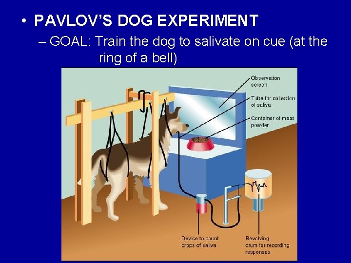  • PAVLOV’S DOG EXPERIMENT – GOAL: Train the dog to salivate on cue