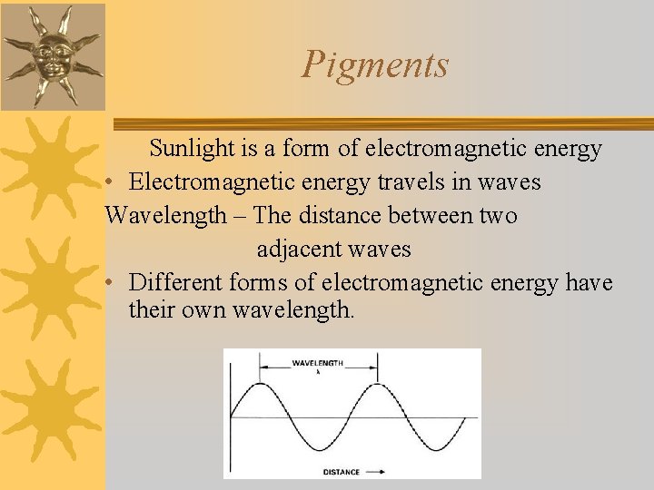 Pigments Sunlight is a form of electromagnetic energy • Electromagnetic energy travels in waves