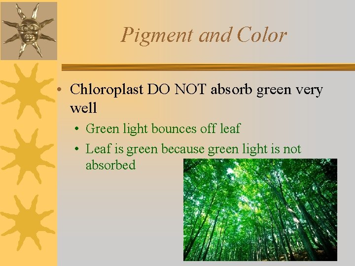 Pigment and Color • Chloroplast DO NOT absorb green very well • Green light