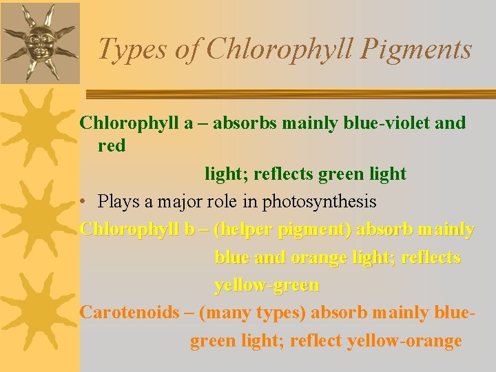 Types of Chlorophyll Pigments Chlorophyll a – absorbs mainly blue-violet and red light; reflects