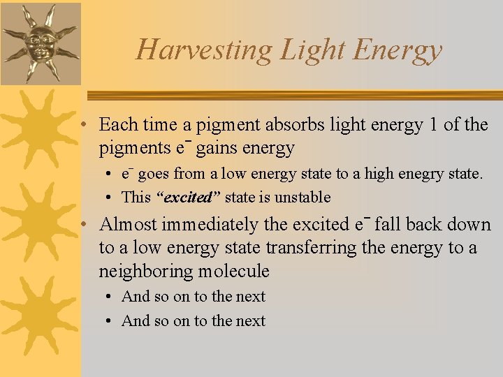 Harvesting Light Energy • Each time a pigment absorbs light energy 1 of the