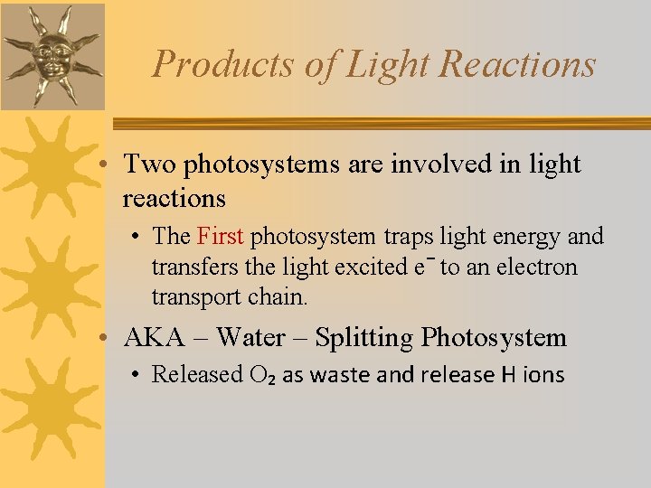 Products of Light Reactions • Two photosystems are involved in light reactions • The