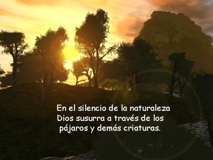 En el silencio de la naturaleza Dios susurra a través de los pájaros y