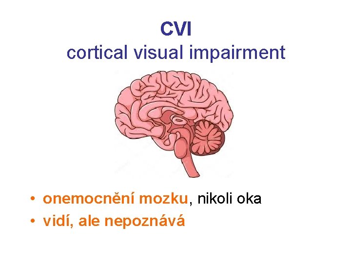 CVI cortical visual impairment • onemocnění mozku, nikoli oka • vidí, ale nepoznává 