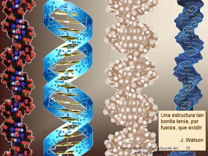 Una estructura tan bonita tenía, por fuerza, que existir J. Watson Dr. Antonio Barbadilla