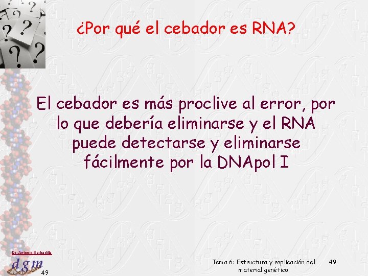 ¿Por qué el cebador es RNA? El cebador es más proclive al error, por