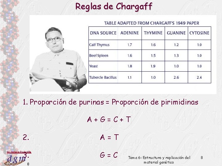 Reglas de Chargaff 1. Proporción de purinas = Proporción de pirimidinas A+G=C+T 2. A=T