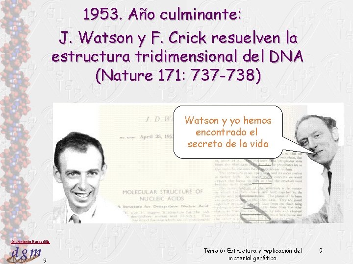 1953. Año culminante: J. Watson y F. Crick resuelven la estructura tridimensional del DNA