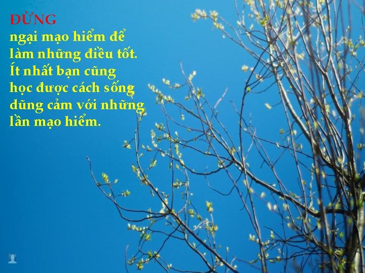 ÐỪNG ngại mạo hiểm để làm những điều tốt. Ít nhất bạn cũng học