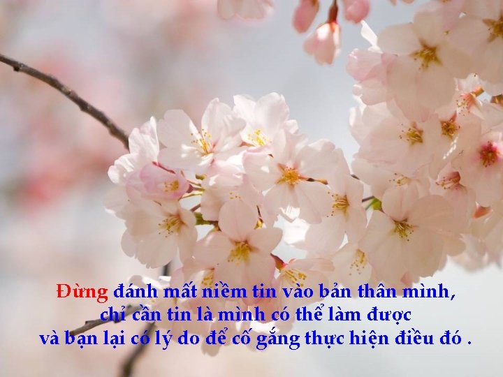 Đừng đánh mất niềm tin vào bản thân mình, chỉ cần tin là mình