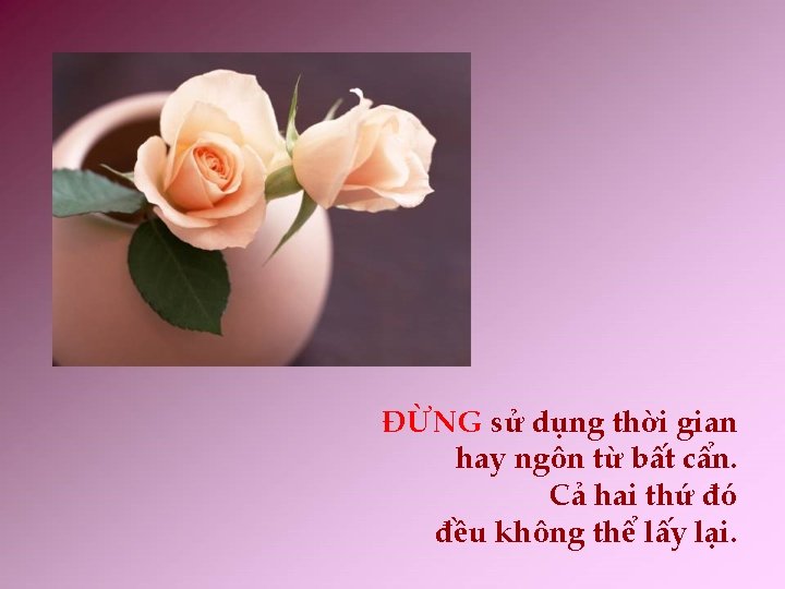 ĐỪNG sử dụng thời gian hay ngôn từ bất cẩn. Cả hai thứ đó