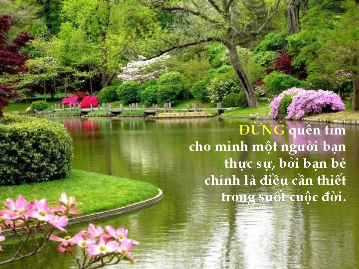 ĐỪNG quên tìm cho mình một người bạn thực sự, bởi bạn bè chính