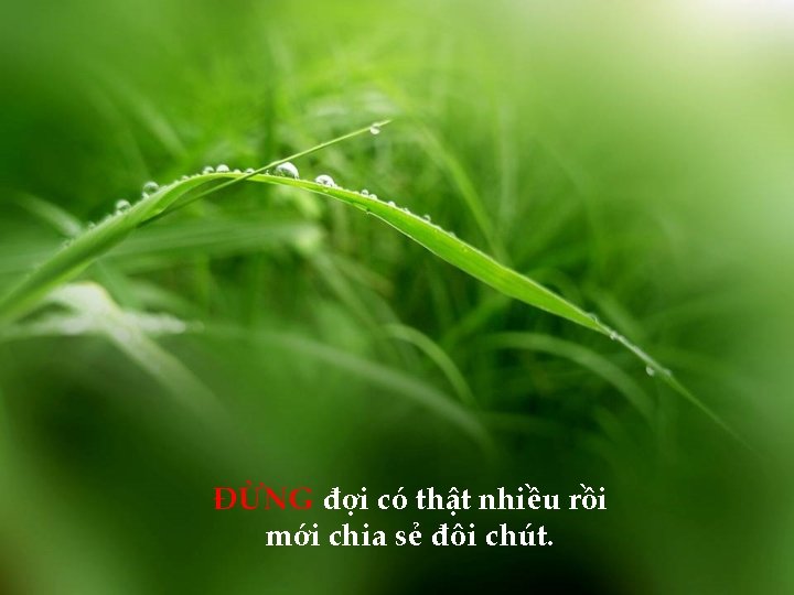 ĐỪNG đợi có thật nhiều rồi mới chia sẻ đôi chút. 