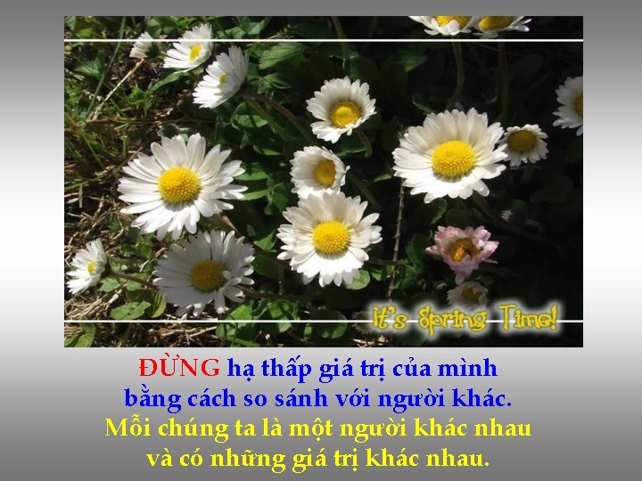 ĐỪNG hạ thấp giá trị của mình bằng cách so sánh với người khác.