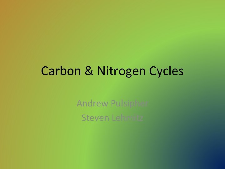 Carbon & Nitrogen Cycles Andrew Pulsipher Steven Lehmitz 