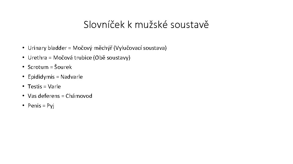 Slovníček k mužské soustavě • Urinary bladder = Močový měchýř (Vylučovací soustava) • Urethra