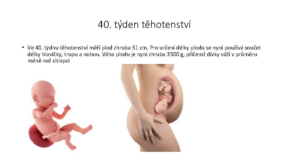 40. týden těhotenství • Ve 40. týdnu těhotenství měří plod zhruba 51 cm. Pro