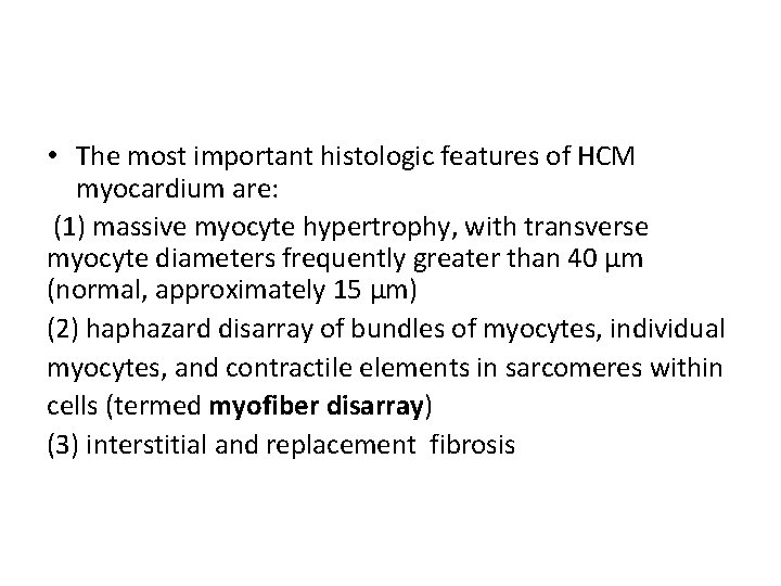  • The most important histologic features of HCM myocardium are: (1) massive myocyte