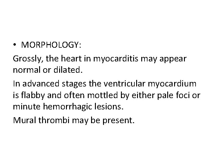  • MORPHOLOGY: Grossly, the heart in myocarditis may appear normal or dilated. In