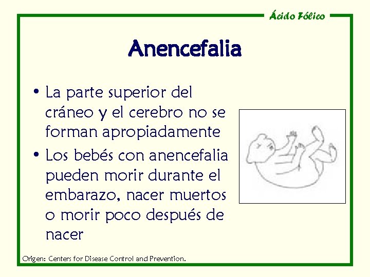 Ácido Fólico Anencefalia • La parte superior del cráneo y el cerebro no se