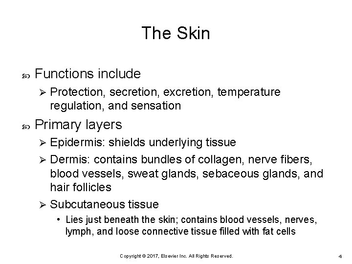 The Skin Functions include Ø Protection, secretion, excretion, temperature regulation, and sensation Primary layers