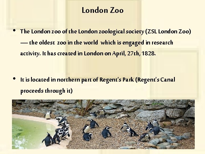 London Zoo • The London zoo of the London zoological society (ZSL London Zoo)