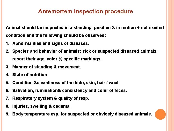 Antemortem Inspection procedure Animal should be inspected in a standing position & in motion