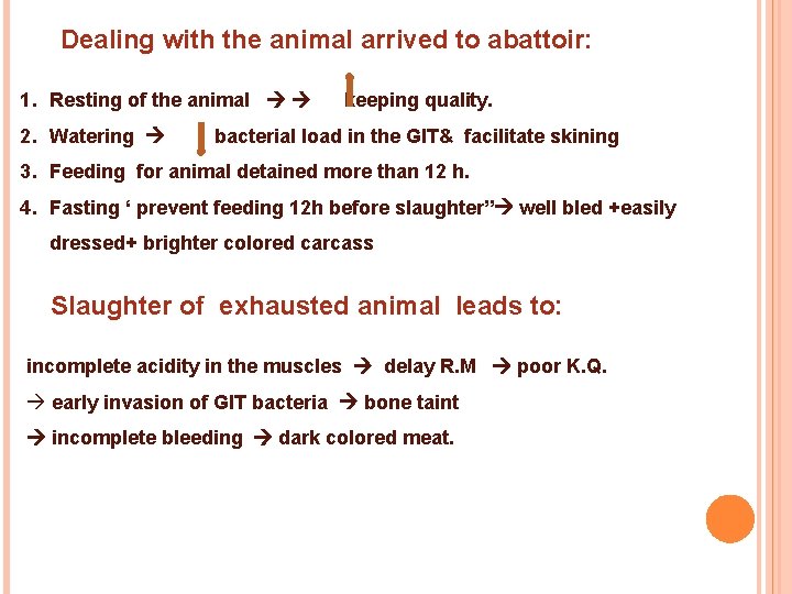 Dealing with the animal arrived to abattoir: 1. Resting of the animal 2. Watering
