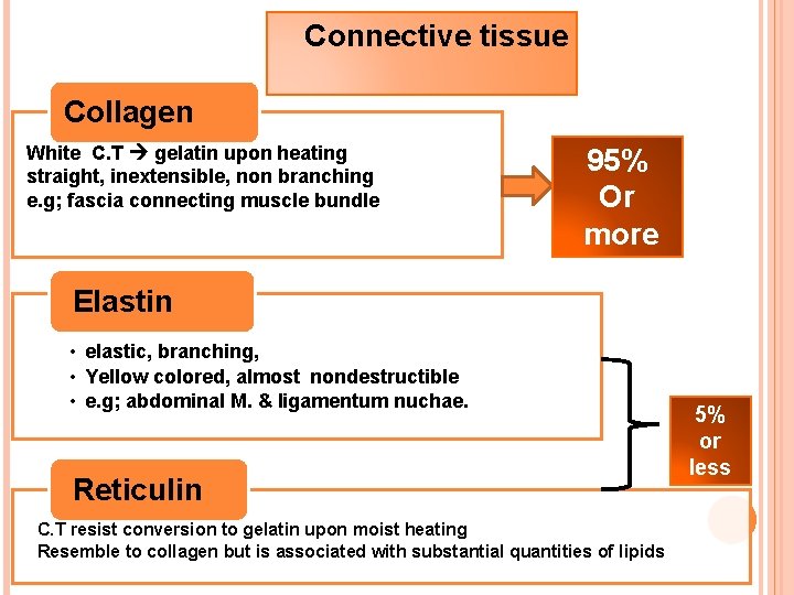 Connective tissue Collagen White C. T gelatin upon heating straight, inextensible, non branching e.