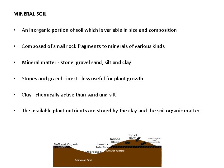 MINERAL SOIL • An inorganic portion of soil which is variable in size and