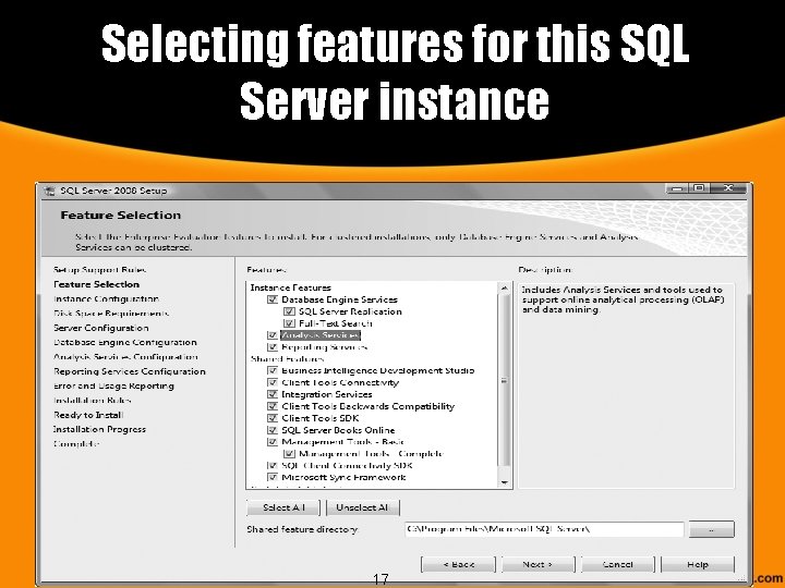 Selecting features for this SQL Server instance 17 