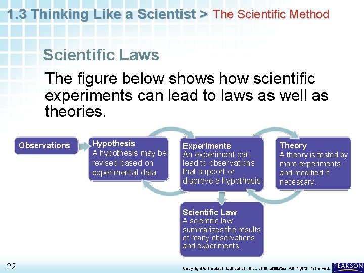 1. 3 Thinking Like a Scientist > The Scientific Method Scientific Laws The figure