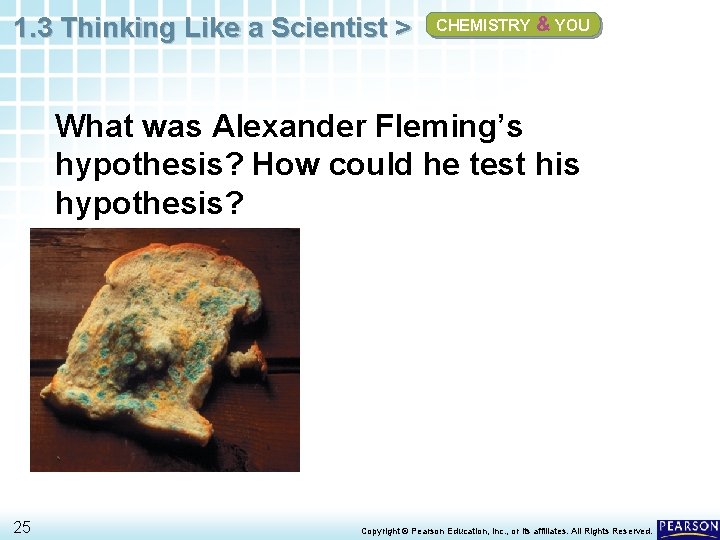 1. 3 Thinking Like a Scientist > CHEMISTRY & YOU What was Alexander Fleming’s