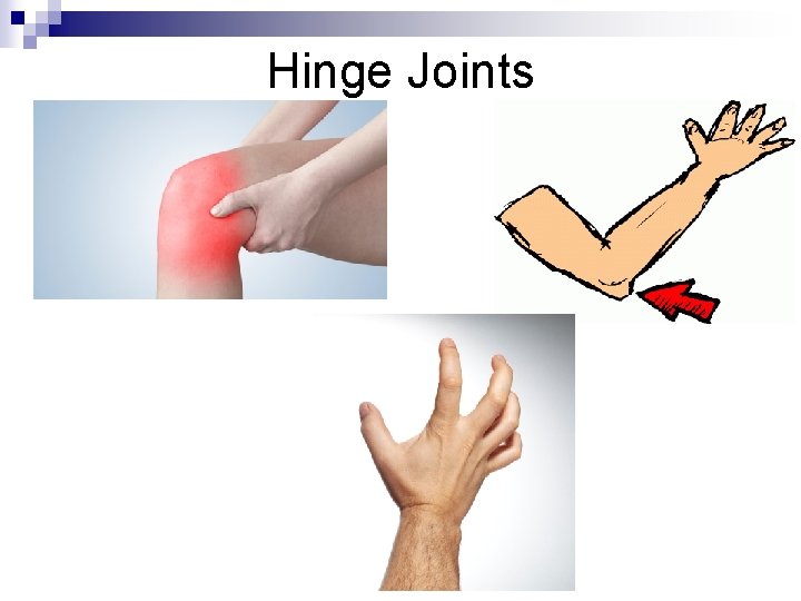 Hinge Joints 