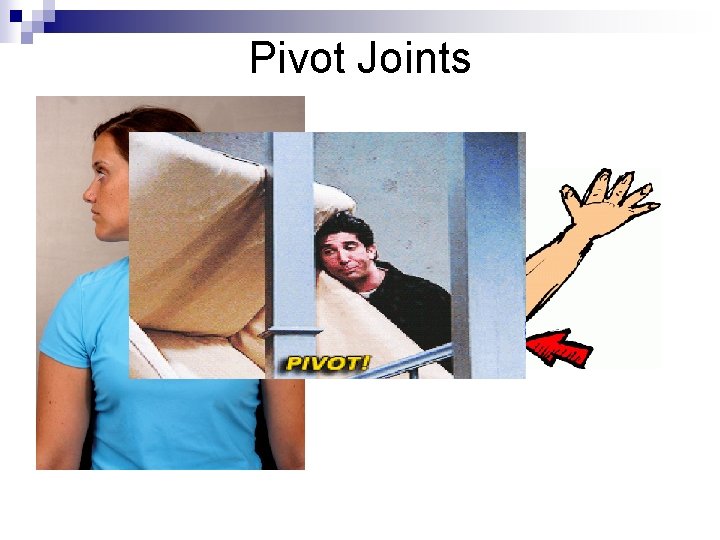 Pivot Joints 